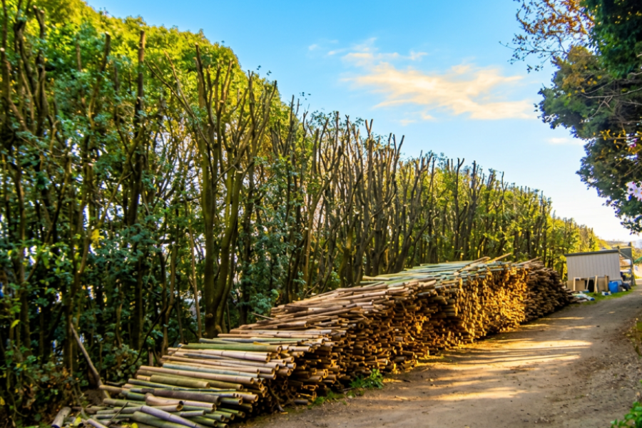 有限会社森田木材のアルバイト 造園工の求人情報イメージ3